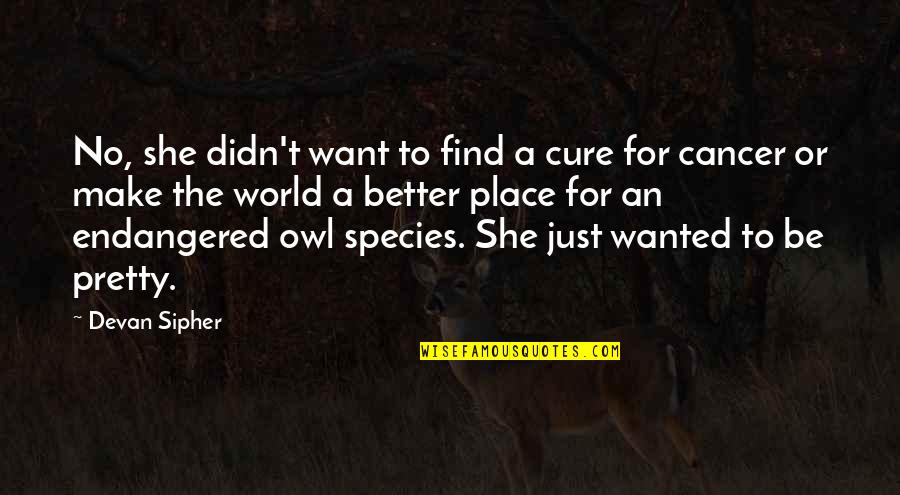 She's In A Better Place Quotes By Devan Sipher: No, she didn't want to find a cure She's In A Better Place Quotes By Devan Sipher: No, she didn't want to find a cure