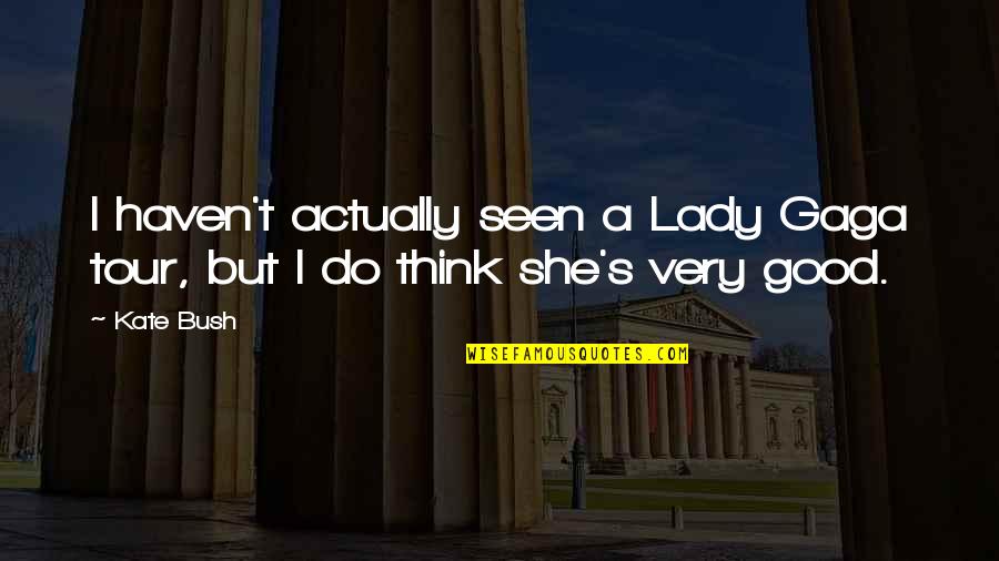 She's Too Good For You Quotes By Kate Bush: I haven't actually seen a Lady Gaga tour,