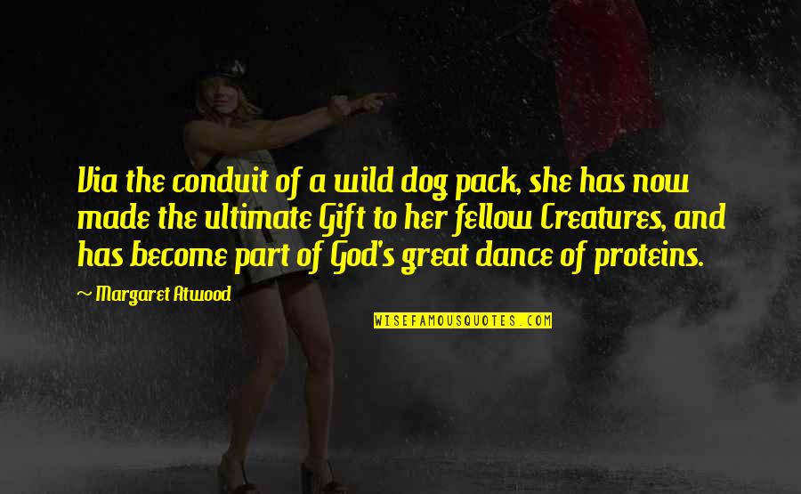 She's Wild Quotes By Margaret Atwood: Via the conduit of a wild dog pack,