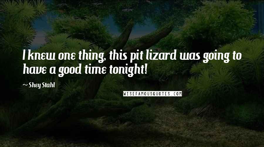 Shey Stahl quotes: I knew one thing, this pit lizard was going to have a good time tonight!