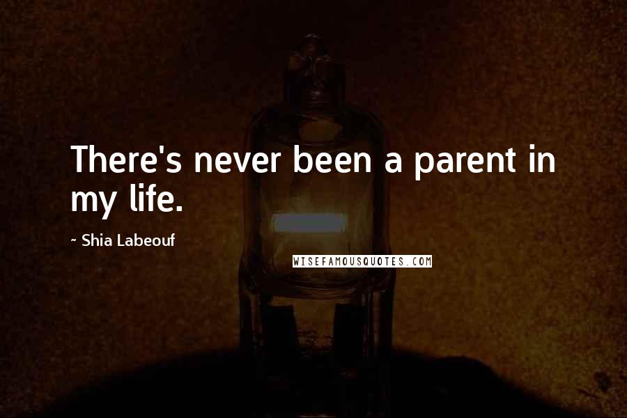 Shia Labeouf quotes: There's never been a parent in my life.