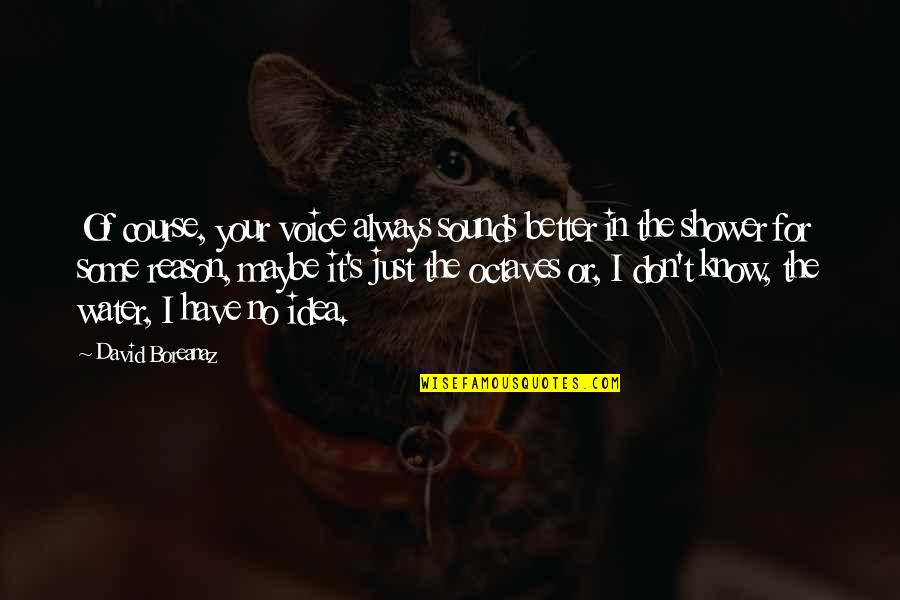 Shiane Quotes By David Boreanaz: Of course, your voice always sounds better in