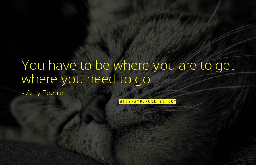 Shifting House Funny Quotes By Amy Poehler: You have to be where you are to