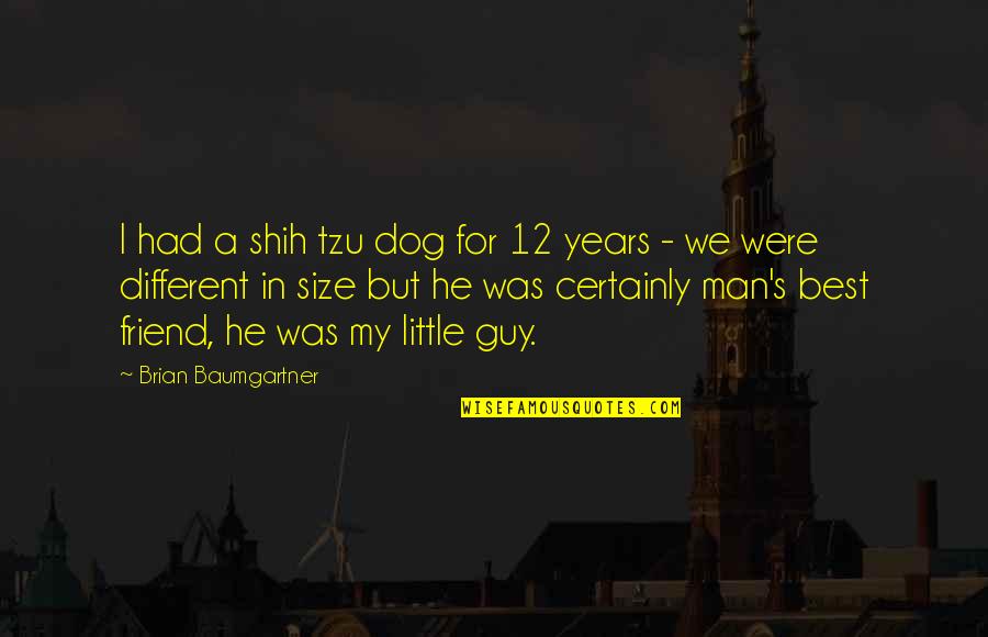 Shih Tzu Quotes By Brian Baumgartner: I had a shih tzu dog for 12