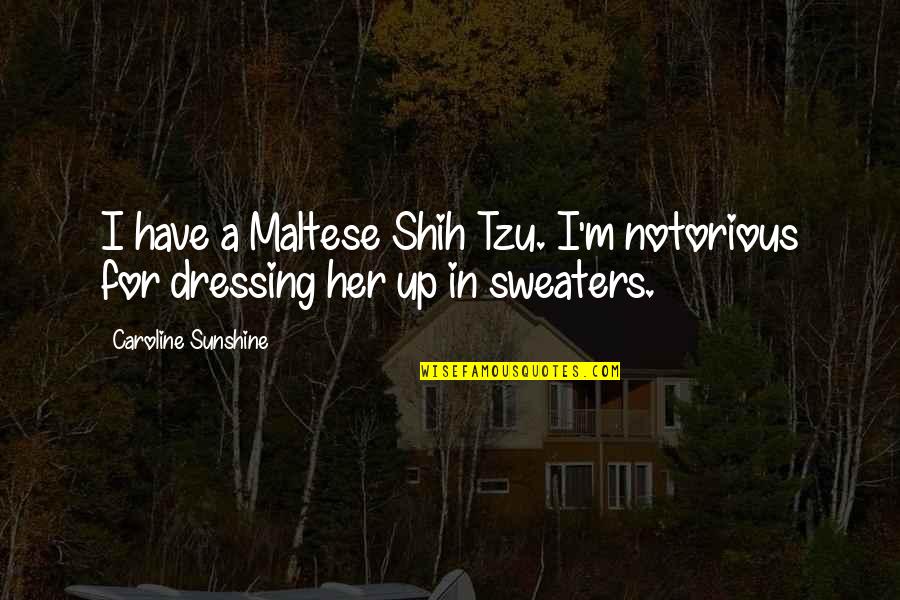 Shih Tzu Quotes By Caroline Sunshine: I have a Maltese Shih Tzu. I'm notorious