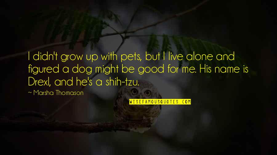 Shih Tzu Quotes By Marsha Thomason: I didn't grow up with pets, but I