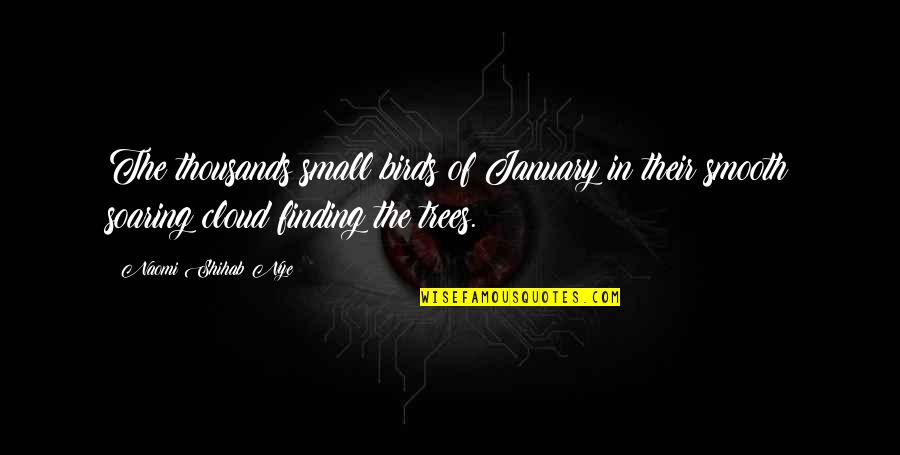 Shihab Nye Quotes By Naomi Shihab Nye: The thousands small birds of January in their Shihab Nye Quotes By Naomi Shihab Nye: The thousands small birds of January in their