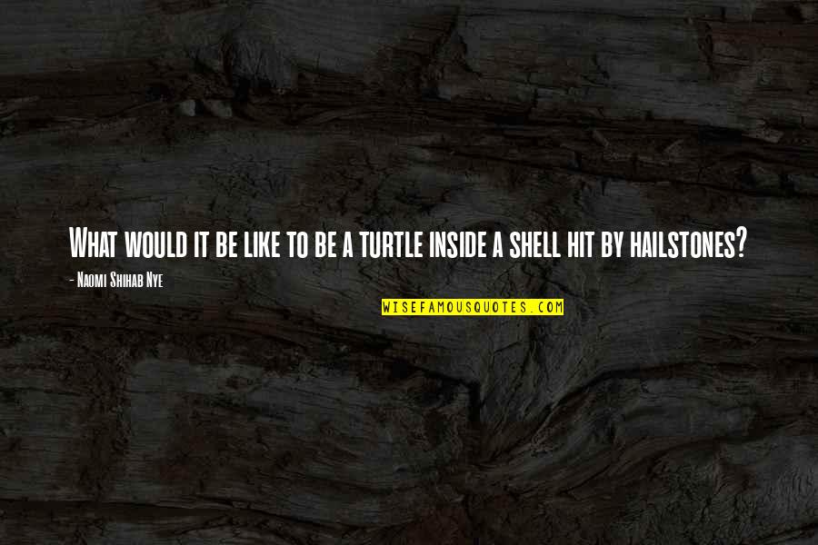 Shihab Nye Quotes By Naomi Shihab Nye: What would it be like to be a Shihab Nye Quotes By Naomi Shihab Nye: What would it be like to be a