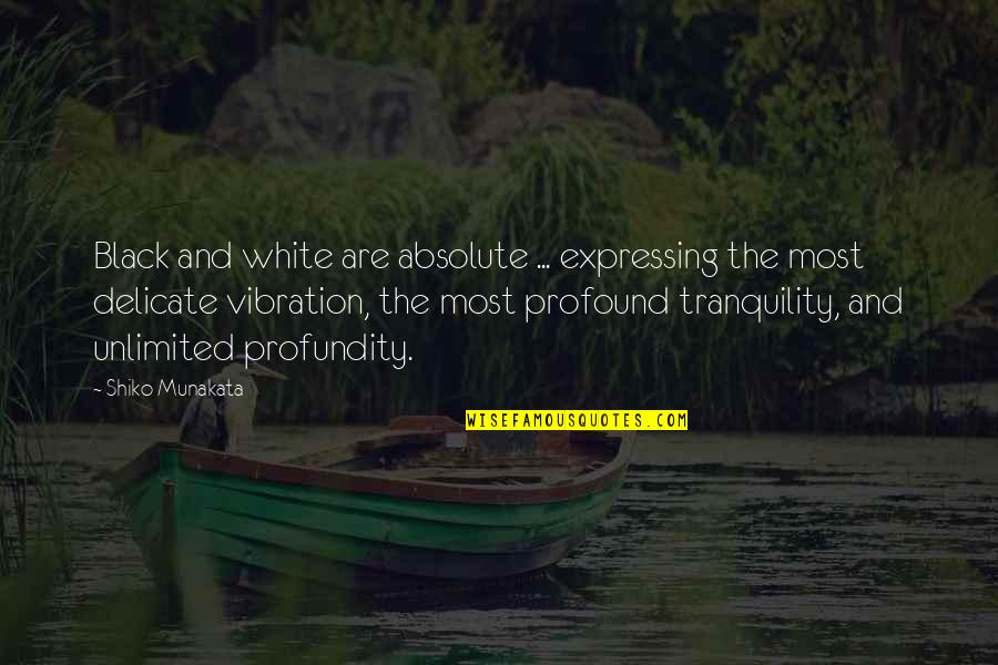 Shiko Quotes By Shiko Munakata: Black and white are absolute ... expressing the