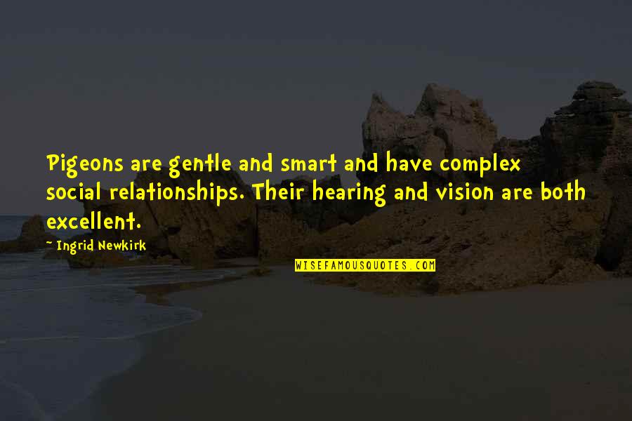 Shilkret V Quotes By Ingrid Newkirk: Pigeons are gentle and smart and have complex