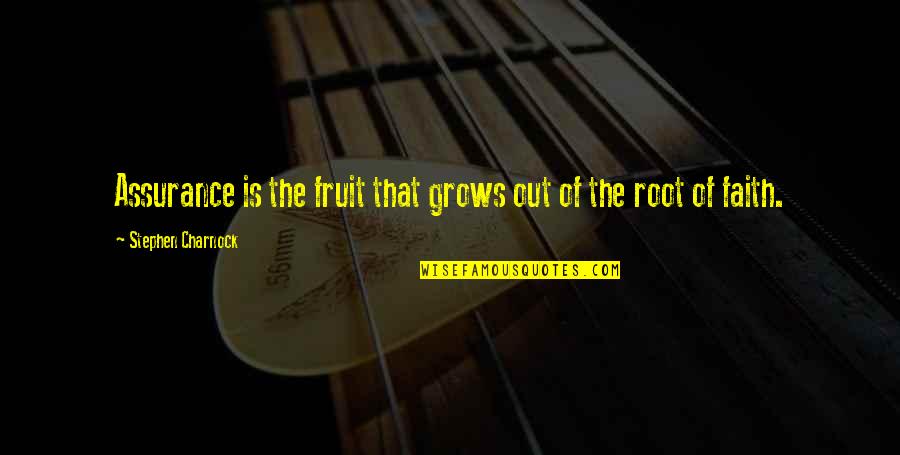 Shillin Quotes By Stephen Charnock: Assurance is the fruit that grows out of Shillin Quotes By Stephen Charnock: Assurance is the fruit that grows out of
