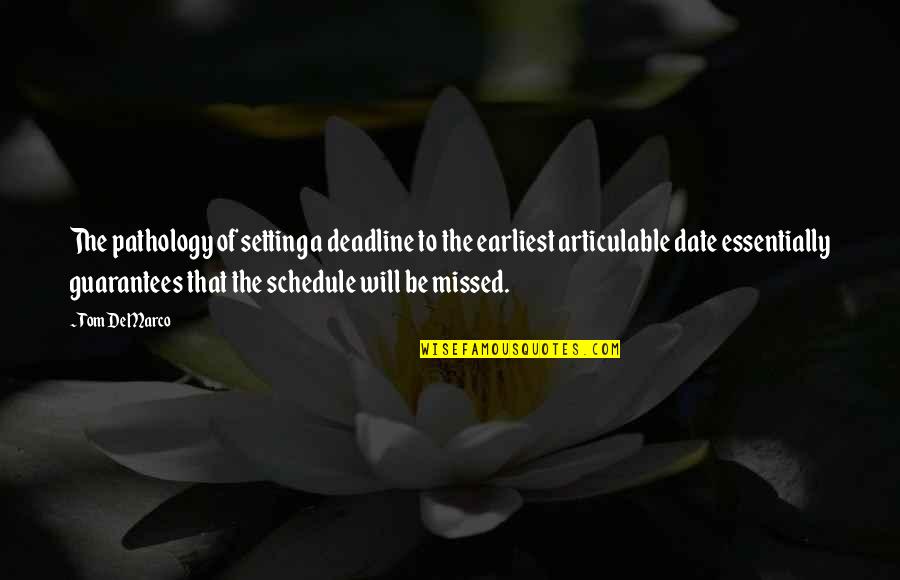 Shilling Quotes By Tom DeMarco: The pathology of setting a deadline to the