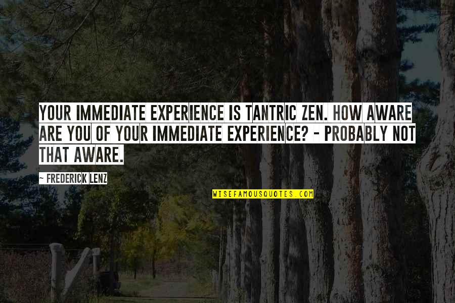 Shimkin Freed Quotes By Frederick Lenz: Your immediate experience is Tantric Zen. How aware Shimkin Freed Quotes By Frederick Lenz: Your immediate experience is Tantric Zen. How aware