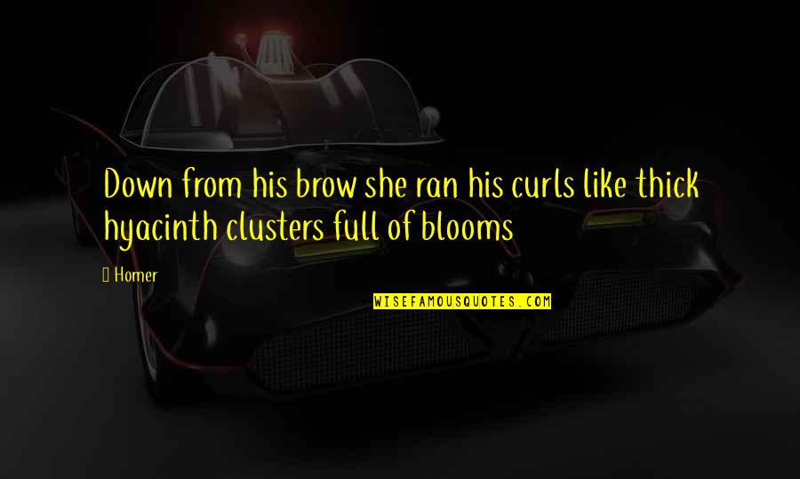 Shimmer Love Quotes By Homer: Down from his brow she ran his curls
