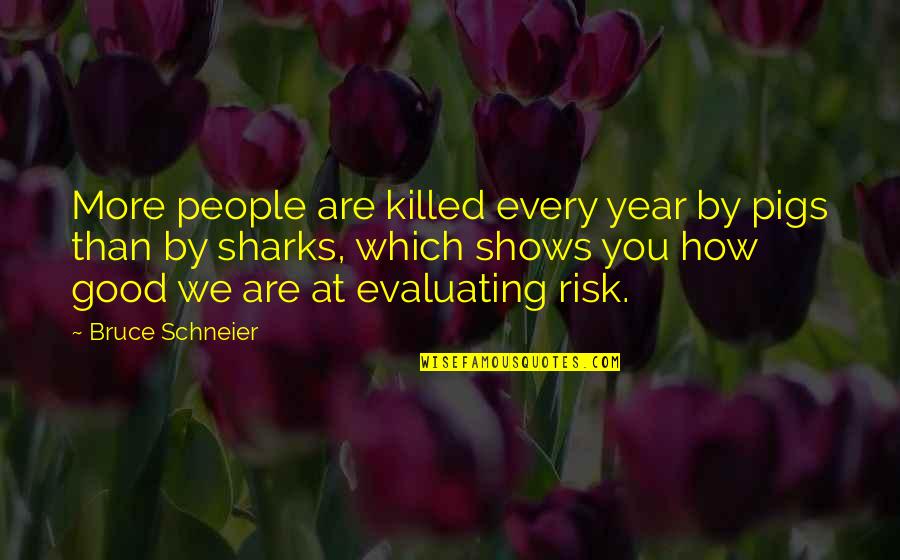 Shimmer Quotes By Bruce Schneier: More people are killed every year by pigs Shimmer Quotes By Bruce Schneier: More people are killed every year by pigs