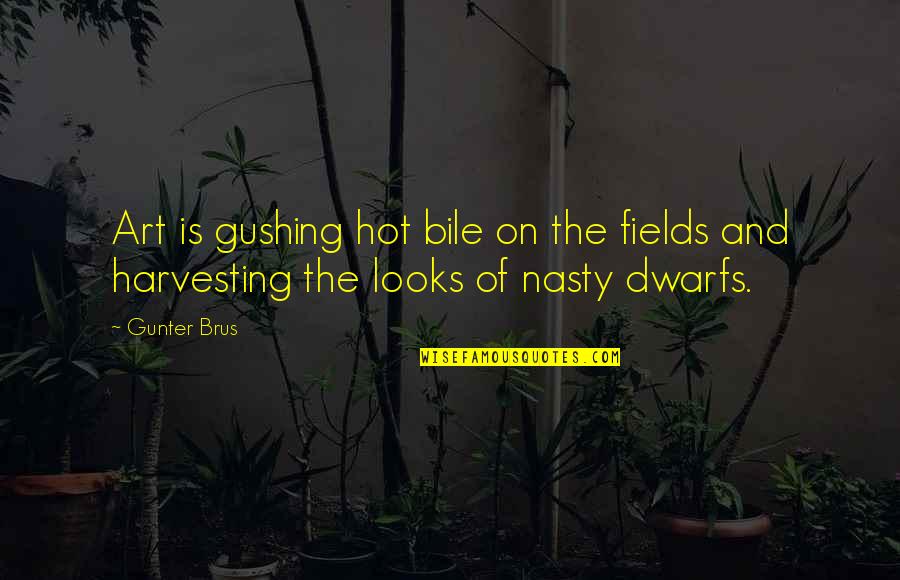 Shimmeriness Quotes By Gunter Brus: Art is gushing hot bile on the fields