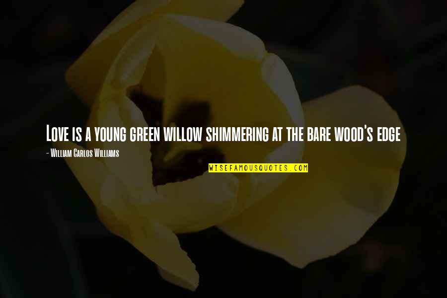 Shimmering Quotes By William Carlos Williams: Love is a young green willow shimmering at