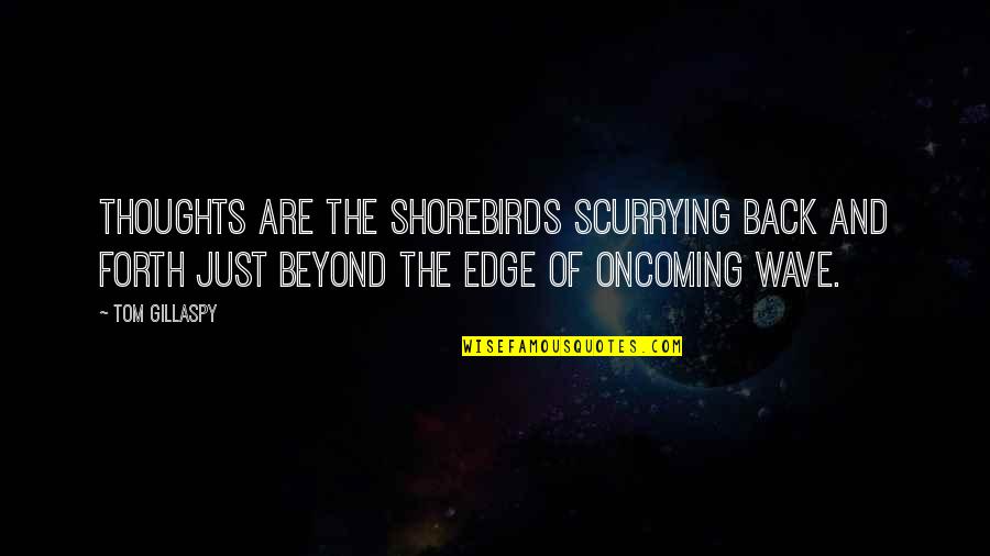 Shimmery Rainbow Quotes By Tom Gillaspy: Thoughts are the shorebirds scurrying back and forth Shimmery Rainbow Quotes By Tom Gillaspy: Thoughts are the shorebirds scurrying back and forth