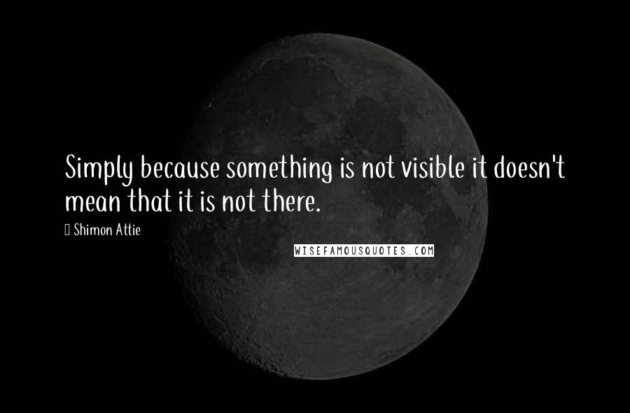 Shimon Attie quotes: Simply because something is not visible it doesn't mean that it is not there.