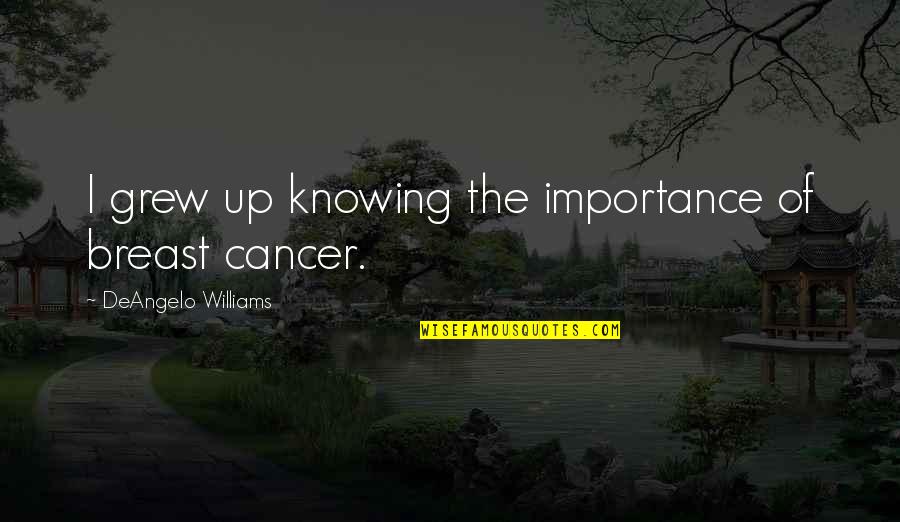 Shimonoseki Quotes By DeAngelo Williams: I grew up knowing the importance of breast Shimonoseki Quotes By DeAngelo Williams: I grew up knowing the importance of breast