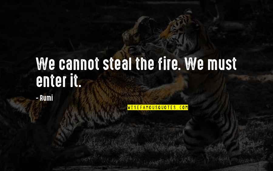 Shimrit Meir Quotes By Rumi: We cannot steal the fire. We must enter