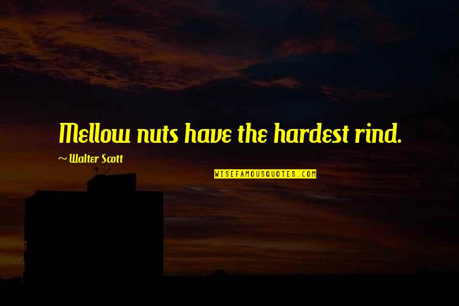 Shindigz Banners Quotes By Walter Scott: Mellow nuts have the hardest rind. Shindigz Banners Quotes By Walter Scott: Mellow nuts have the hardest rind.