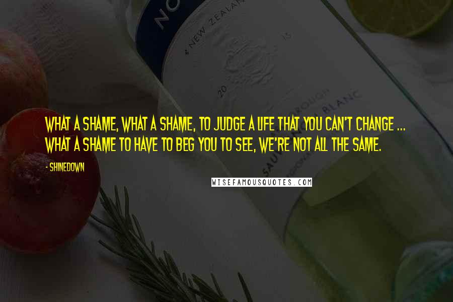 Shinedown quotes: What a shame, what a shame, to judge a life that you can't change ... What a shame to have to beg you to see, we're not all the same.