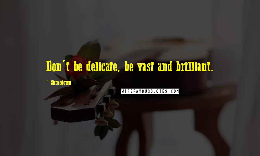 Shinedown quotes: Don't be delicate, be vast and brilliant.