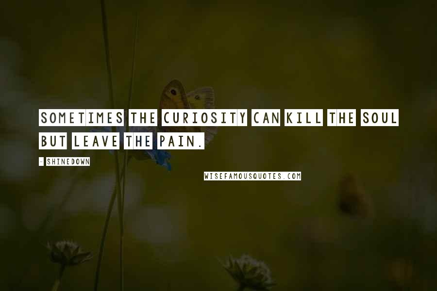 Shinedown quotes: Sometimes the curiosity can kill the soul but leave the pain.