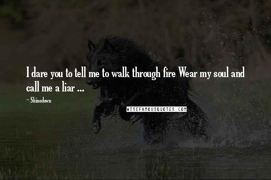 Shinedown quotes: I dare you to tell me to walk through fire Wear my soul and call me a liar ...