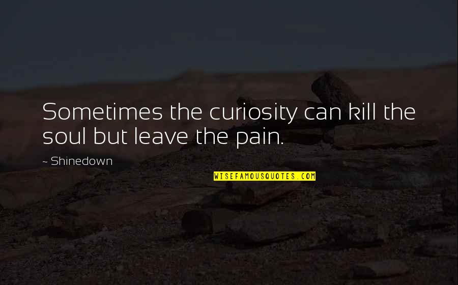 Shinedown Quotes By Shinedown: Sometimes the curiosity can kill the soul but