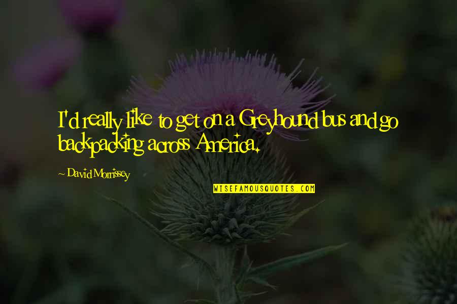 Shininess Of Satin Quotes By David Morrissey: I'd really like to get on a Greyhound