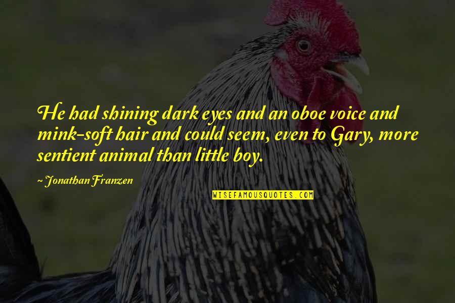 Shining Hair Quotes By Jonathan Franzen: He had shining dark eyes and an oboe Shining Hair Quotes By Jonathan Franzen: He had shining dark eyes and an oboe