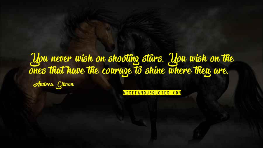 Shining Stars Quotes By Andrea Gibson: You never wish on shooting stars. You wish