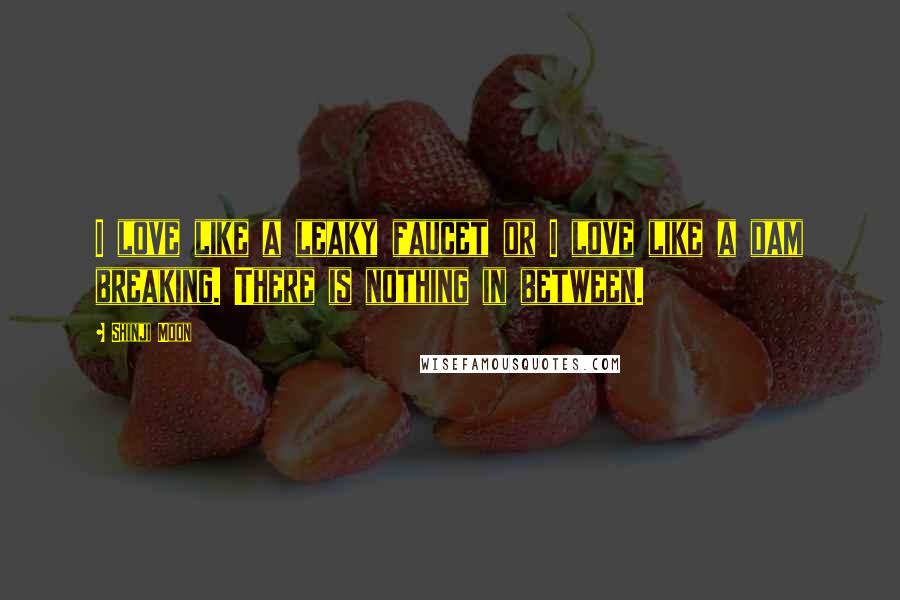 Shinji Moon quotes: I love like a leaky faucet or I love like a dam breaking. There is nothing in between.