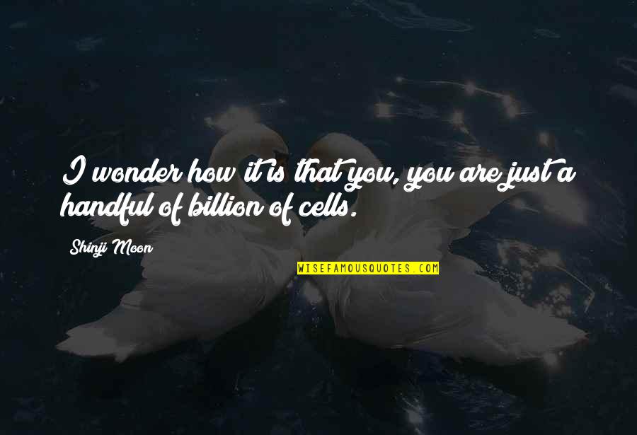 Shinji Moon Quotes By Shinji Moon: I wonder how it is that you, you