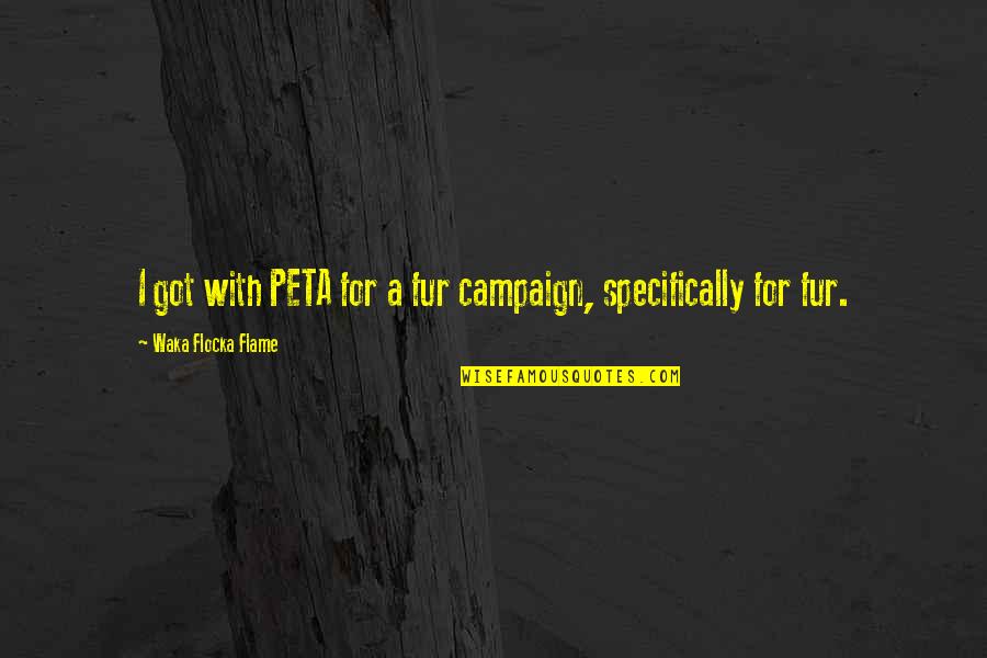 Shinjo Mayu Quotes By Waka Flocka Flame: I got with PETA for a fur campaign, Shinjo Mayu Quotes By Waka Flocka Flame: I got with PETA for a fur campaign,