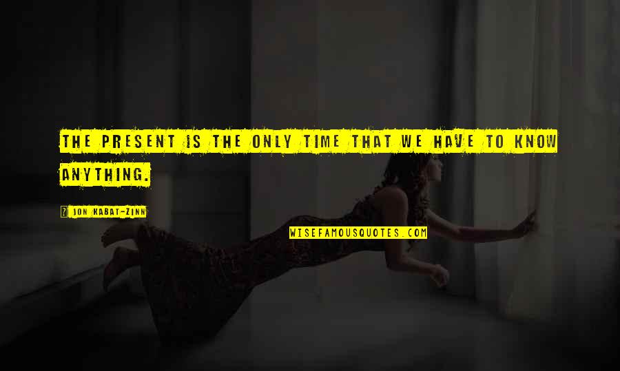 Shinkle Shot Quotes By Jon Kabat-Zinn: The present is the only time that we