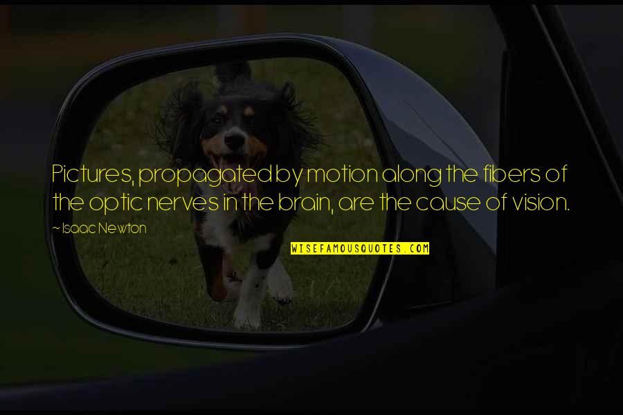 Shinkoda Eyeglass Quotes By Isaac Newton: Pictures, propagated by motion along the fibers of