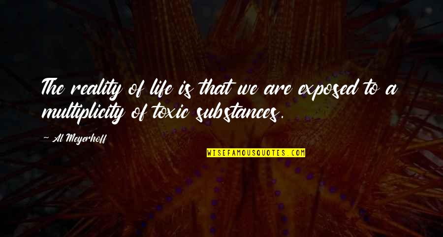 Shinners 13 Quotes By Al Meyerhoff: The reality of life is that we are