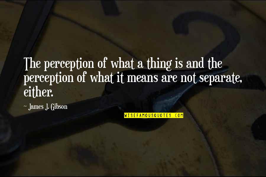 Shinoya Quotes By James J. Gibson: The perception of what a thing is and