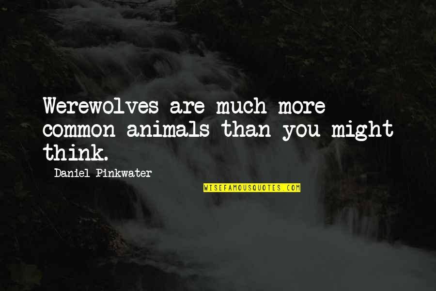 Shinsakuto Quotes By Daniel Pinkwater: Werewolves are much more common animals than you