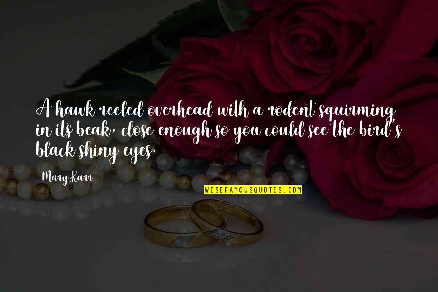 Shiny Eyes Quotes By Mary Karr: A hawk reeled overhead with a rodent squirming Shiny Eyes Quotes By Mary Karr: A hawk reeled overhead with a rodent squirming