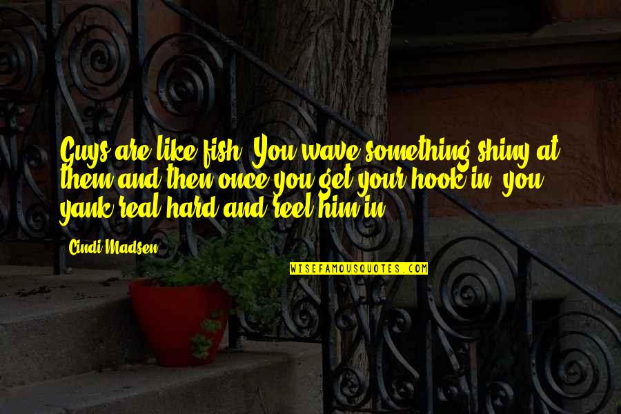 Shiny Guys Quotes By Cindi Madsen: Guys are like fish. You wave something shiny Shiny Guys Quotes By Cindi Madsen: Guys are like fish. You wave something shiny
