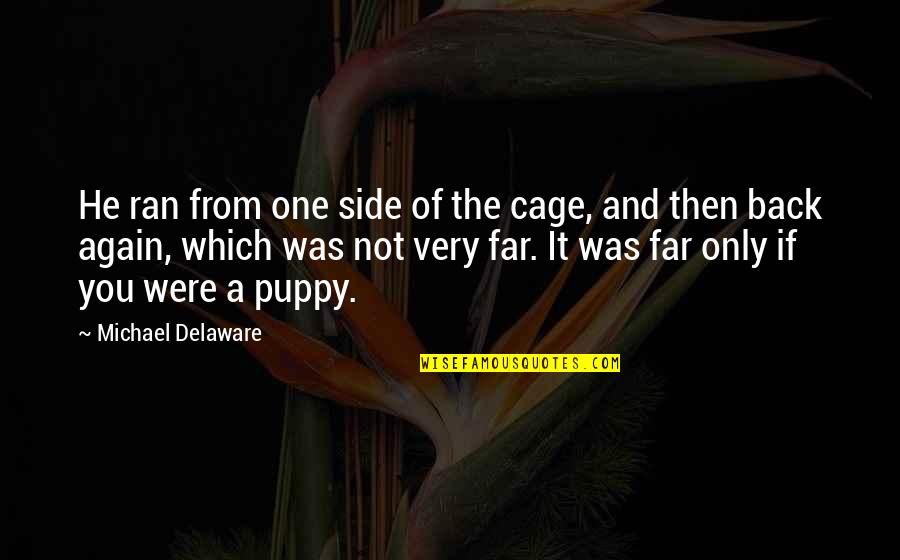 Shiny Guys Quotes By Michael Delaware: He ran from one side of the cage,