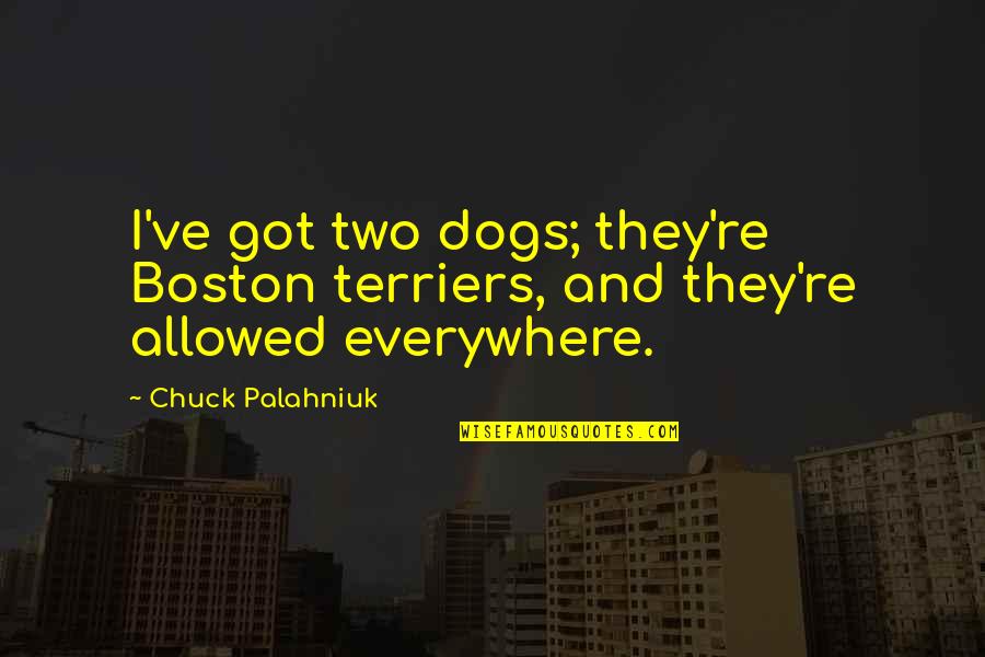 Shion No Ou Quotes By Chuck Palahniuk: I've got two dogs; they're Boston terriers, and