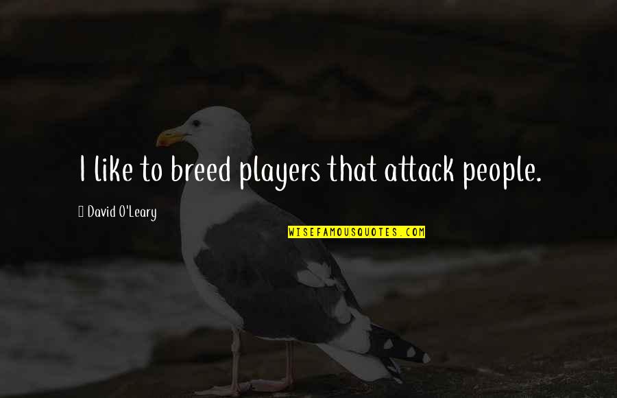 Shion Quotes By David O'Leary: I like to breed players that attack people. Shion Quotes By David O'Leary: I like to breed players that attack people.