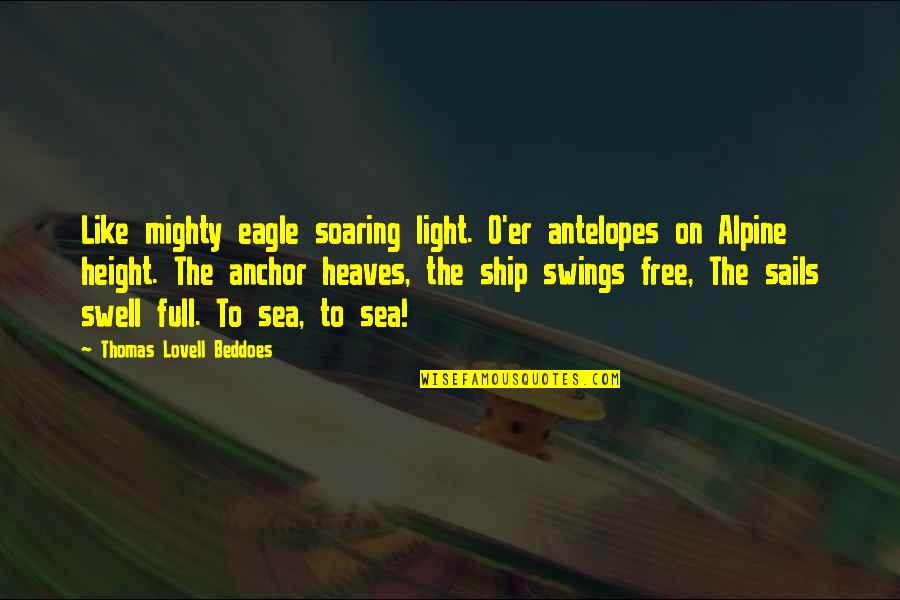 Ship'll Quotes By Thomas Lovell Beddoes: Like mighty eagle soaring light. O'er antelopes on Ship'll Quotes By Thomas Lovell Beddoes: Like mighty eagle soaring light. O'er antelopes on