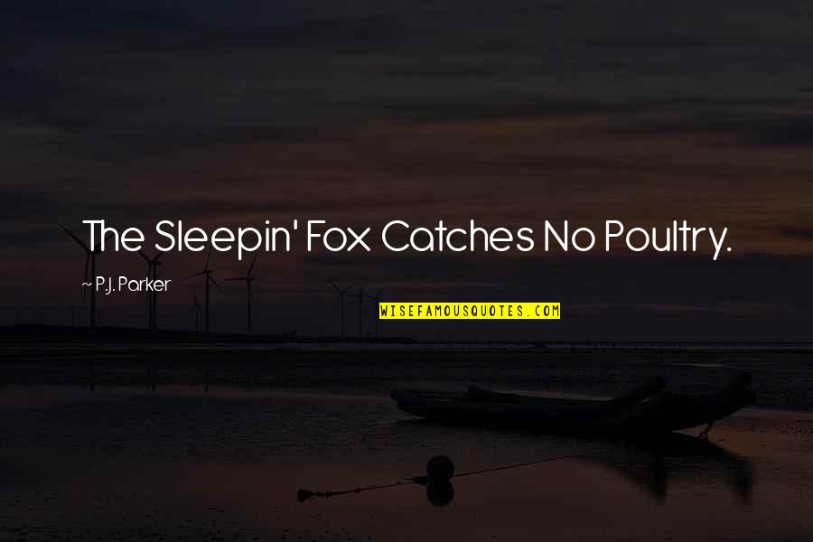 Shippo Tracking Quotes By P.J. Parker: The Sleepin' Fox Catches No Poultry. Shippo Tracking Quotes By P.J. Parker: The Sleepin' Fox Catches No Poultry.