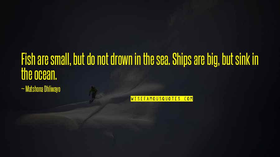 Ships And The Sea Quotes By Matshona Dhliwayo: Fish are small, but do not drown in